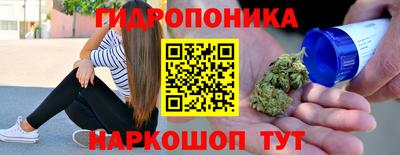 крисы Красноармейск