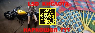 СК Котовск