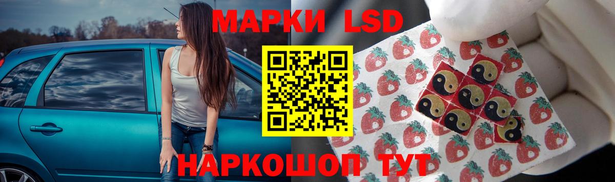  COCAIN Кудымкар