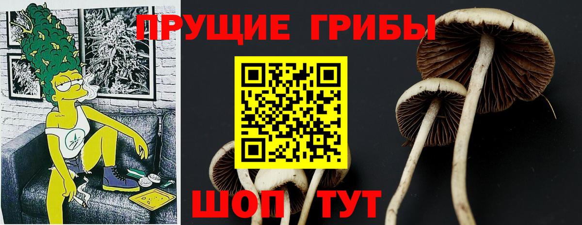 Галлюциногенные грибы GOLDEN TEACHER  Вход с VPN  Псилоцибиновые грибы Magic Shrooms  Кудымкар 